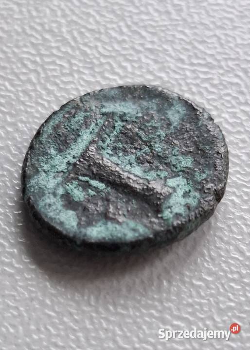 Moneta antyczna Grecja Aeolis Kyme 350250 BC 2 Wejherowo