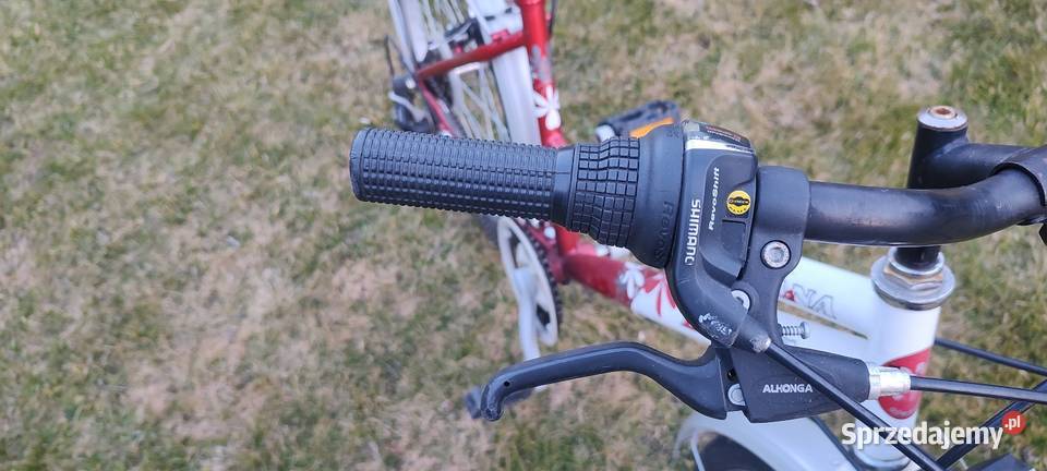 Rower dziecięcy Bingo Suzana 24 Zielonki