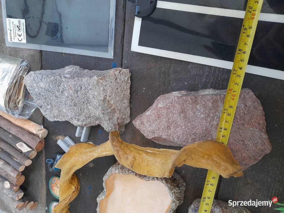 wyposażenie terrarium graty gada miseczki Warszawa