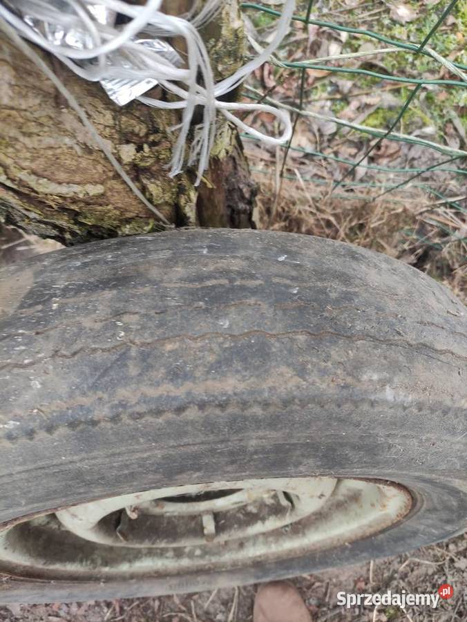 Kola Koła dojazdowe mazowieckie Raciąż