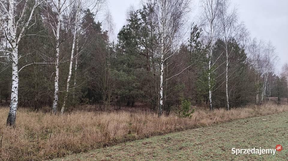działka o pow 1136m2 KARAKULE podlaskie
