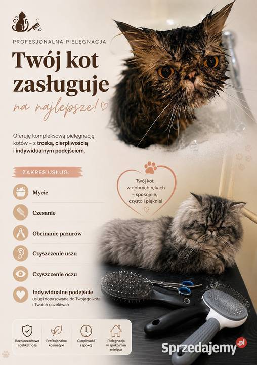Pielęgnacja kotów ŁÓDŹ Łódź