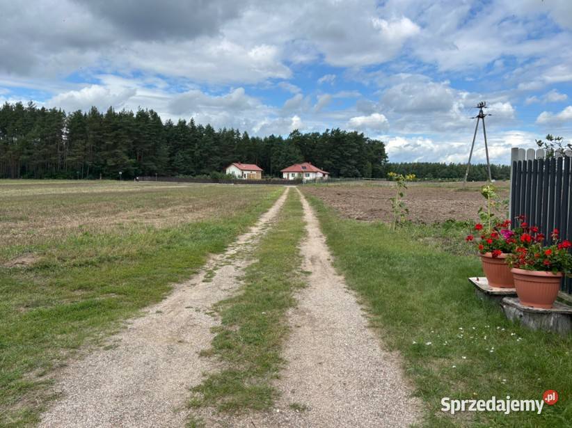 Siedlisko z zadbanym domem i budynkami na do zamieszkania mazowieckie Zaorze