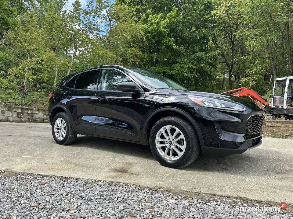 Ford kuga 2022 nieuszkodzony podkarpackie