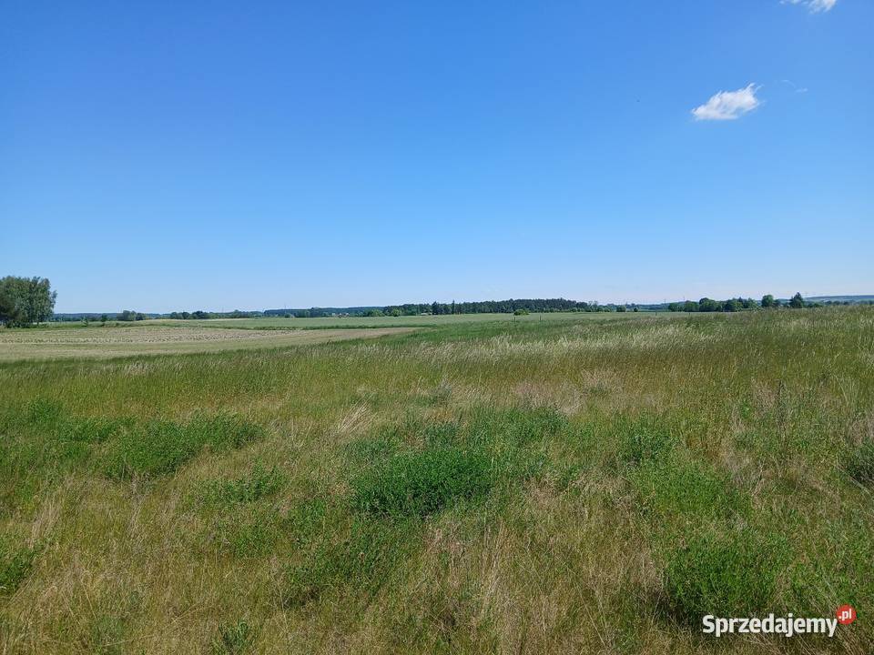 Działka budowlana 73a Krzywowola gm Rejowiec