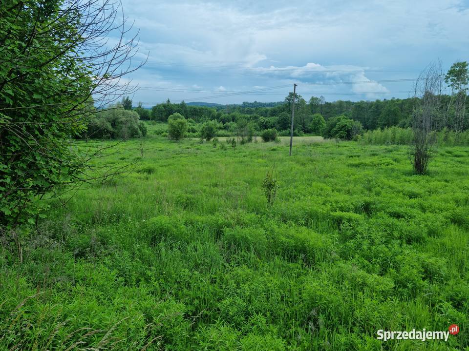 Działka rekreacyjna do sprzedania 123zł/m2 Krzeszowice