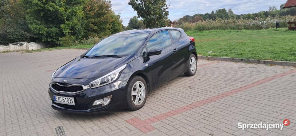 Kia ceed proceed 14 mpi oryg przebieg 63 Rok produkcji 2016 Głowno