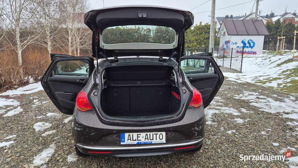 ASTRA 14 120 OPŁACONA BEZWYPADKOWA przyciemniane szyby Rzeszów