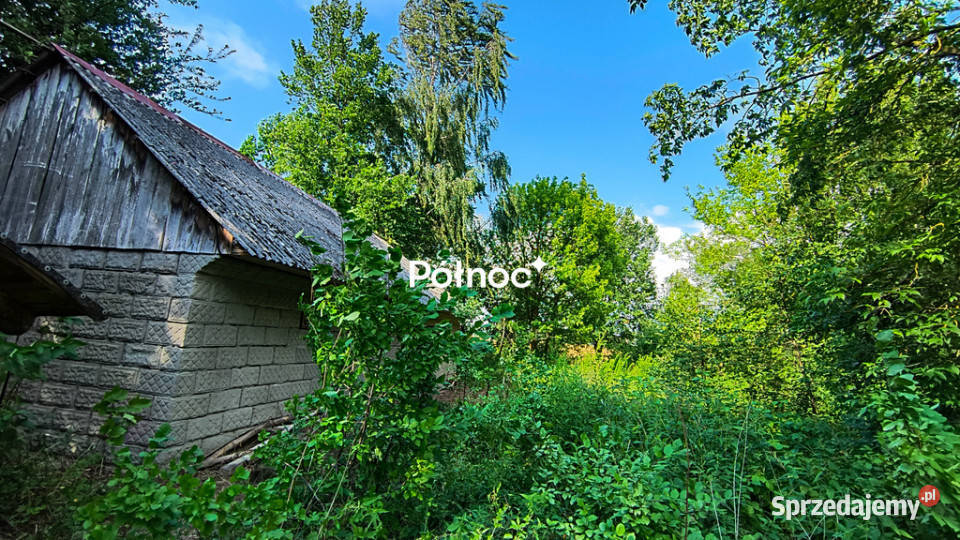 Siedlisko z sadem Pojelce gm Biała Podlaska Sprzedaż
