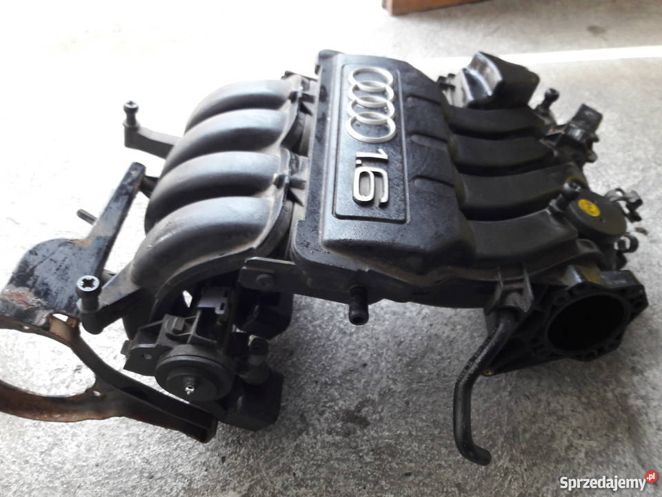 Kolektor ssący 16 MPI BGU Audi VW Skoda Seat dostawcze Malbork