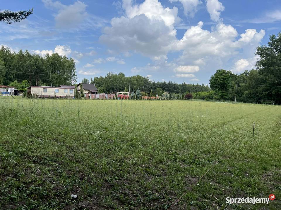 Działka 30 ar z Pozwoleniem na Budowę i Mediami Sprzedaż Dalików sprzedam