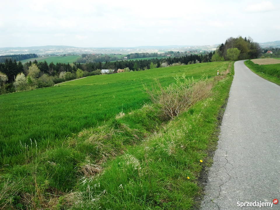 Działka budowlana 100a na sprzedaż Grunty i działki Bełdno