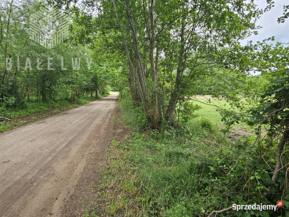 Sprzedaż działki 4158m2 Gorzewo Grunty i działki