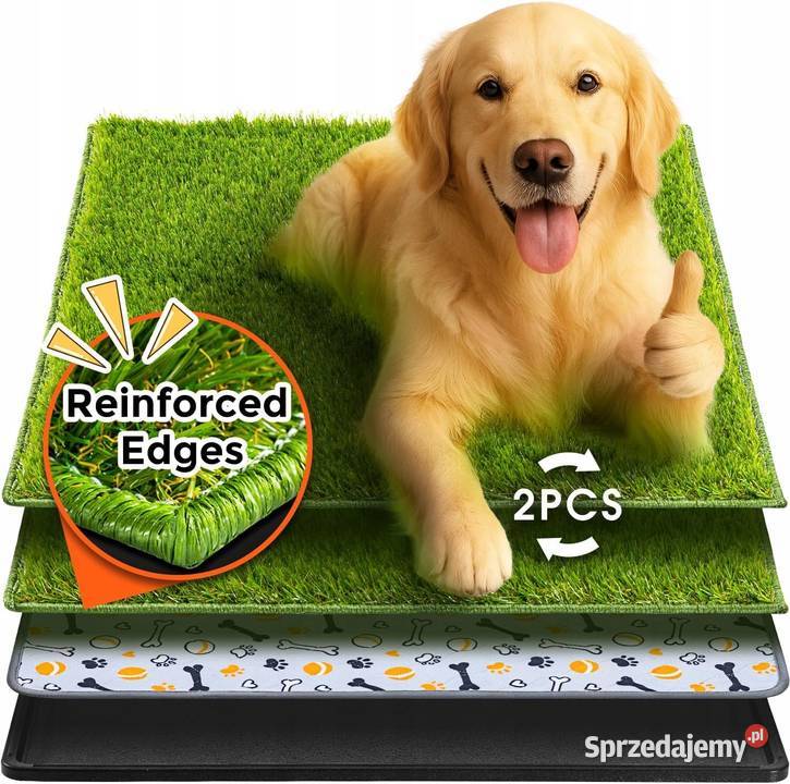 Hompet maty trening posłuszeństwa Myszyniec