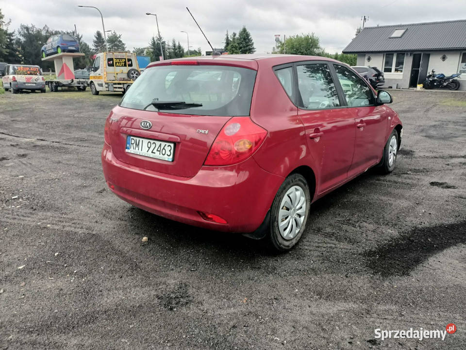 Kia Ceed Kia Ceed 16 CRDI 115 08r I 20062012 Tarnów