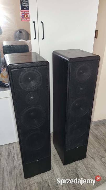 Kolumny podłogowe Canton Ergo 91 2x300Wat Warta