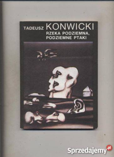 Rzeka podziemna podziemne ptaki Szczecin