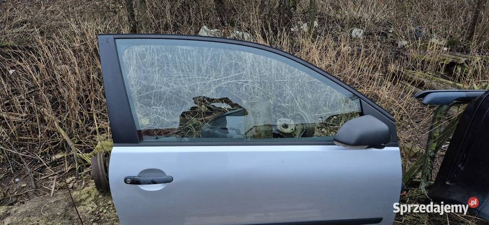 Drzwi prawe Vw Polo 9N LA7W Słupsk sprzedam