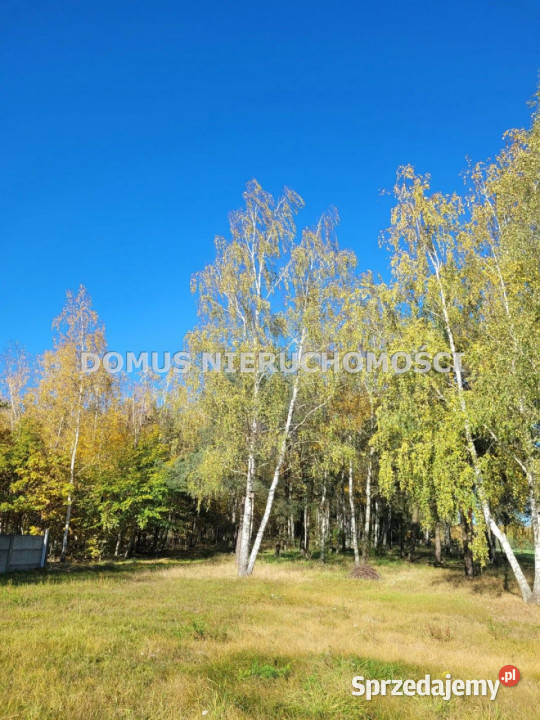 Dom wolnostojący 150m2 Wągry 12300m2