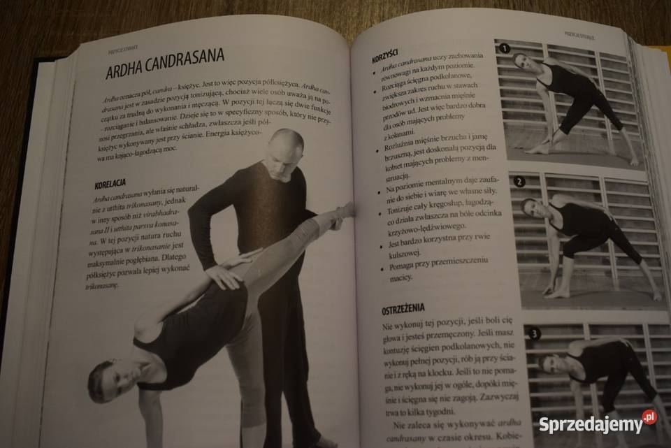 Joga i Ajurweda Bartosz Niedaszkowski kujawsko-pomorskie Chełmno sprzedam