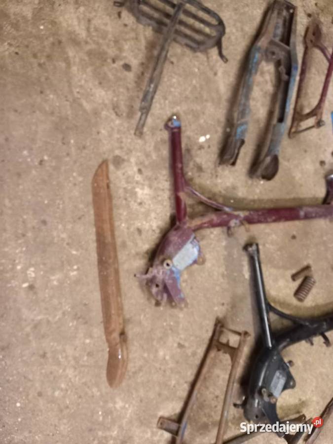 Komar sztywniak części Sokołów Podlaski