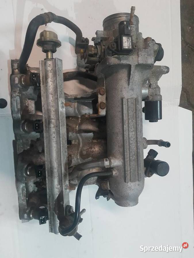 Kolektor d16z6 wielkopolskie Czajków