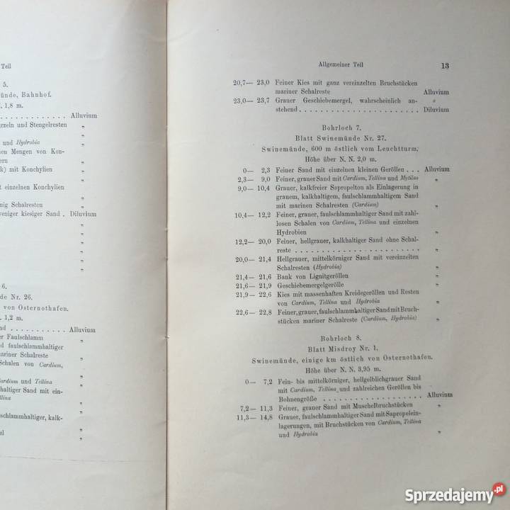 877 Geologischen Karte Szczecin