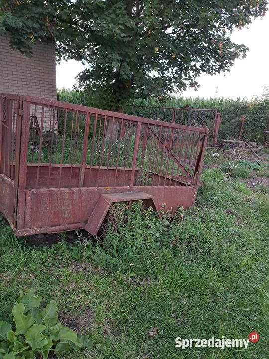Mała przyczepa rolnicza nieuszkodzony Pałuki sprzedam