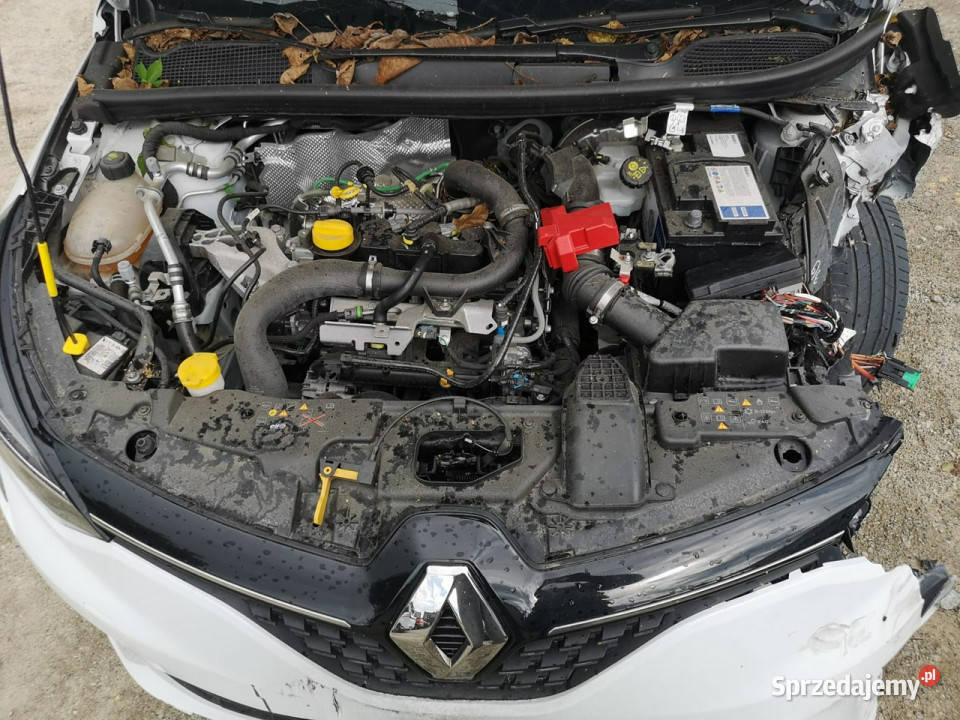 Renault Clio V 2019 Ostrów Wielkopolski