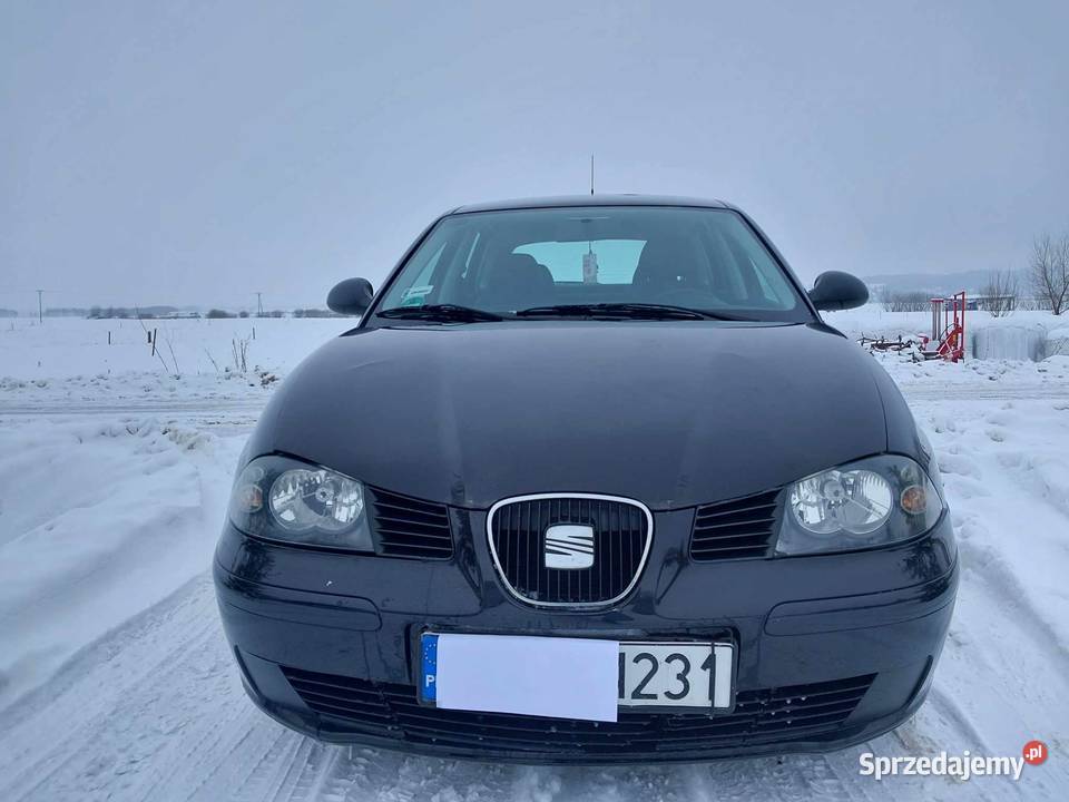 Seat Ibiza 14 benzyna 2004 Sprawna Klima Przeworsk
