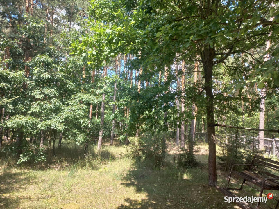 Sprzedam dom 145 m2 na działce o powierzchni 145m2 Sprzedaż Tomaszów Mazowiecki sprzedam