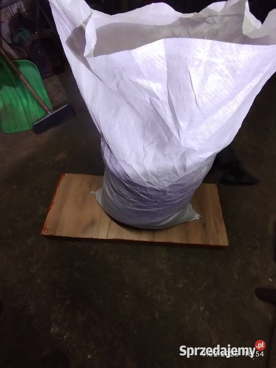 Trociny grube wióry Dla gryzoni kujawsko-pomorskie