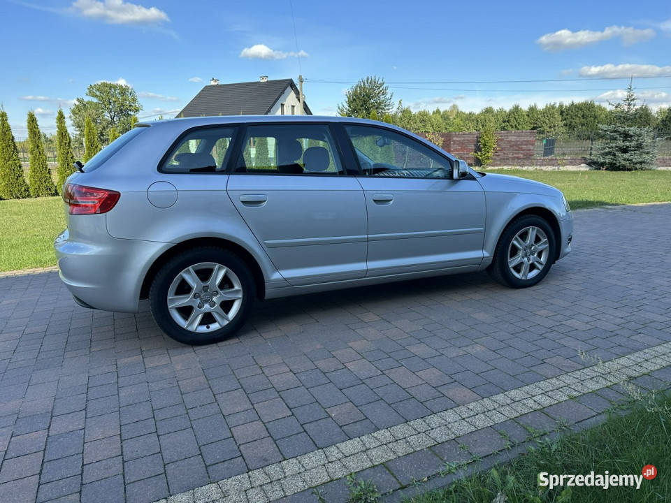 Audi A3 8P 20032012 Lipówki