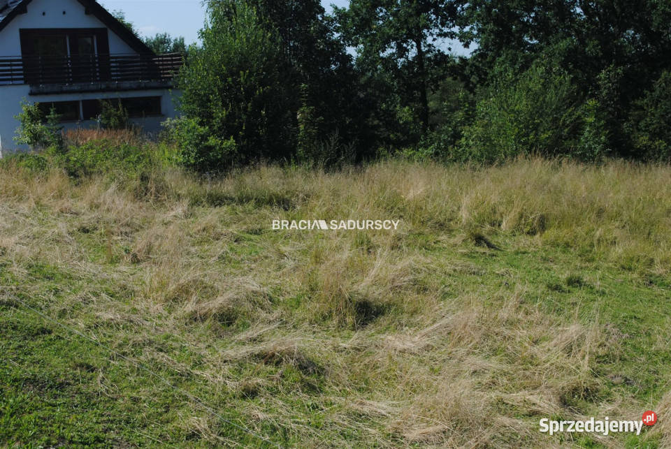 Grunt na sprzedaż Chorowice 2402m2 budowlana Sprzedaż małopolskie