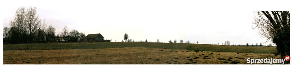 Grunt rolny ok 3 ha Dąbek gm Czerwin