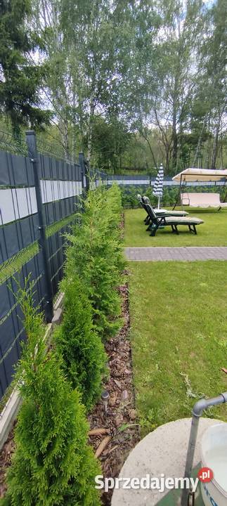 Sprzedam działkę ROD Dąbrowa Górnicza