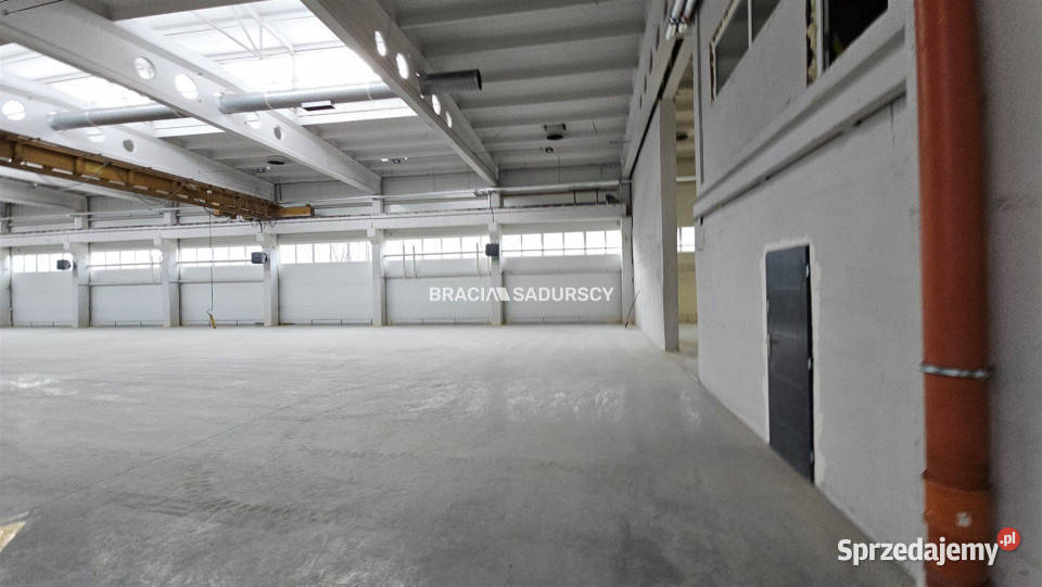 Lokal Olkusz 2000m2 Wynajem