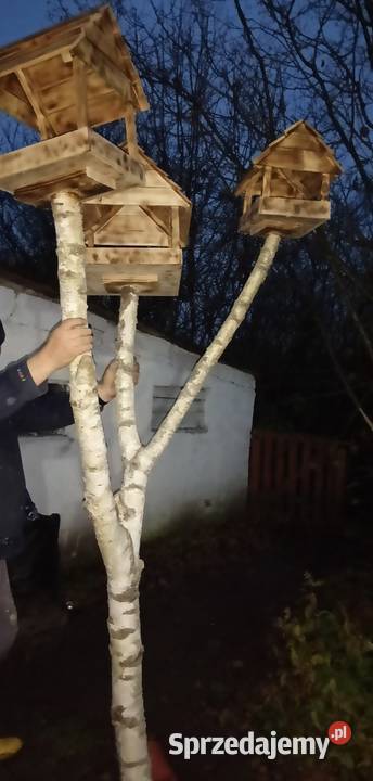 Hotel karmnik ptaków Bartoszyce