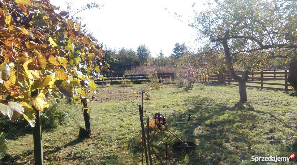 Ogródek działkowy działka ROD Lublin 12zł/m2