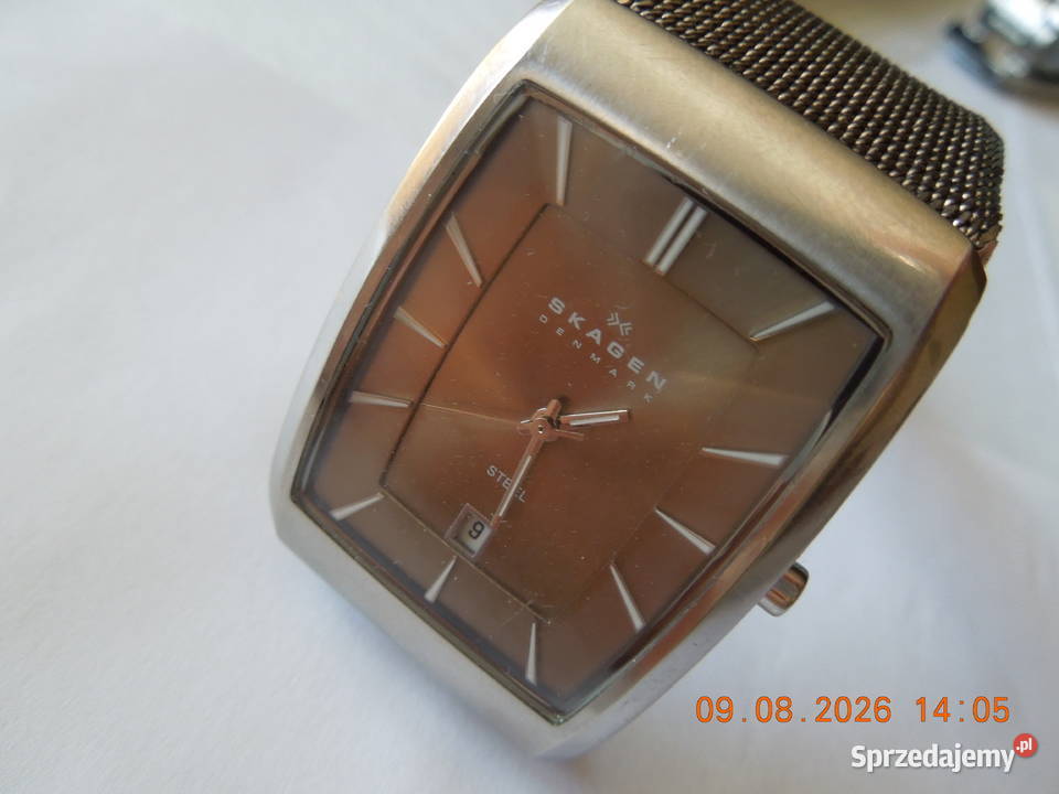 zegarek meski skagen
