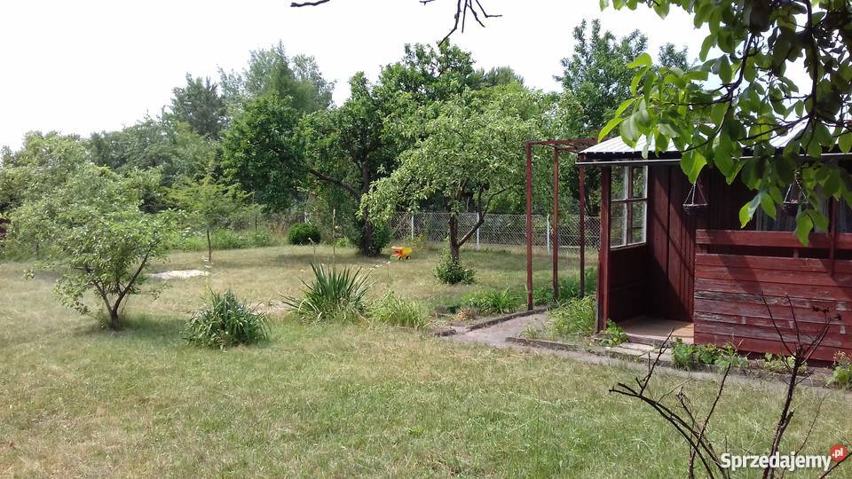 Działka ROD Stokrotka rekreacyjna Opole