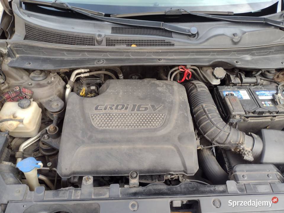 Kia sportage suv wielkopolskie Śrem