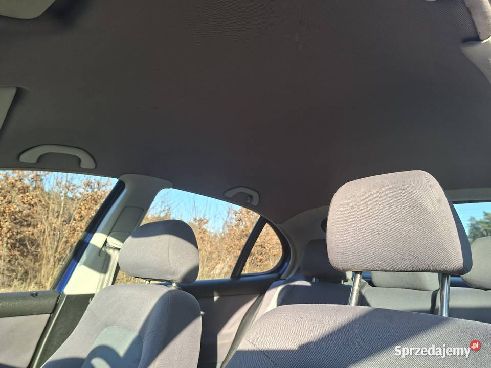 Leon świętokrzyskie Marzysz sprzedam