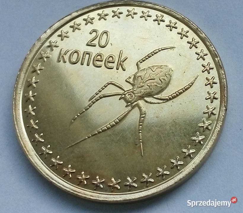 CZECZENIA20 KOPIEJEK2013 r PAJĄKŁADNA Legionowo