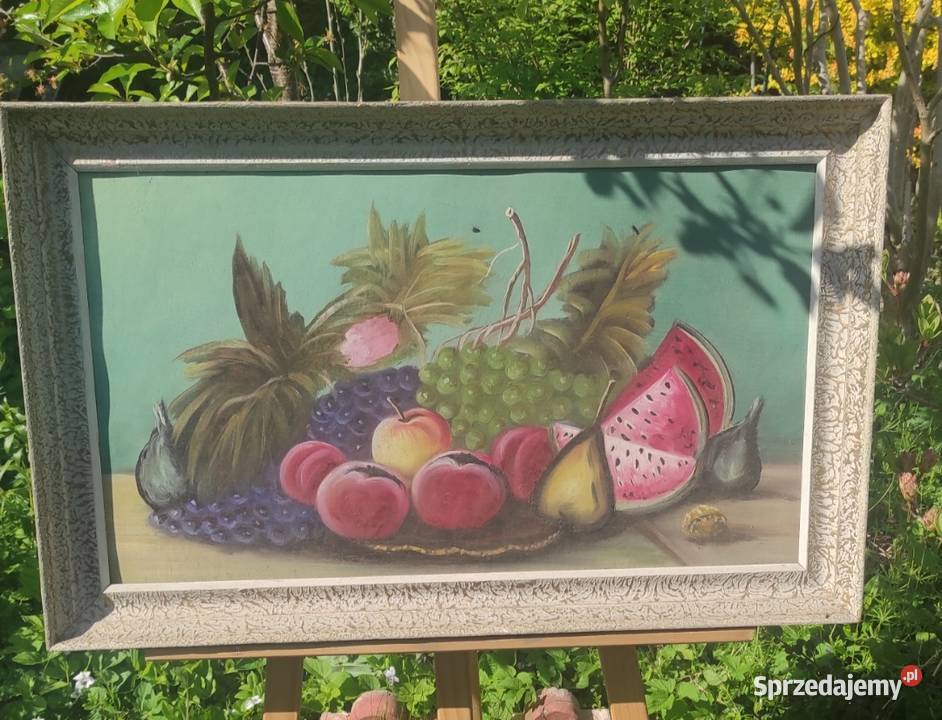 MARTWA NATURA W ORYGINALNEJ STAREJ RAMIE Pabianice sprzedam
