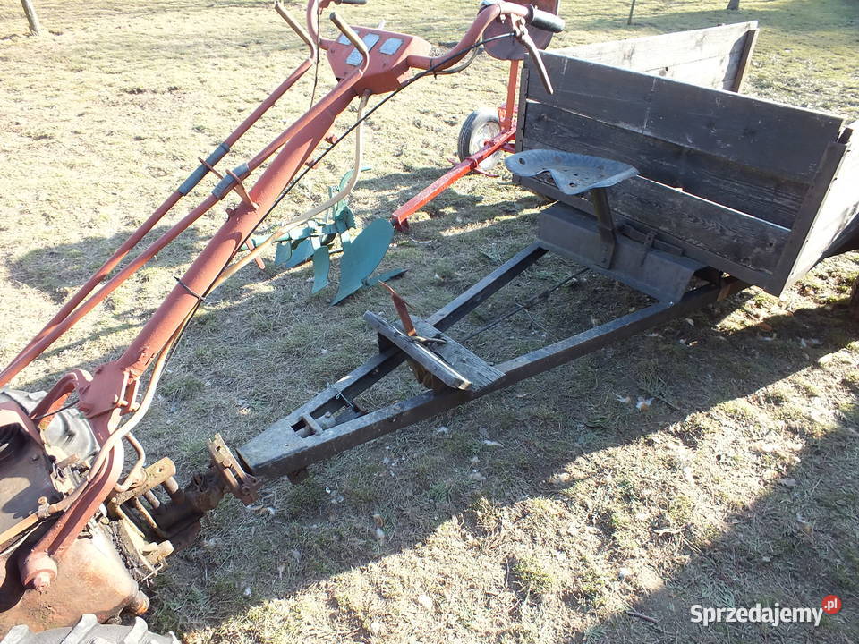 Dzik 221 nie Ursus C 308 Sprawny Osprzęt Kurier Golasowice sprzedam