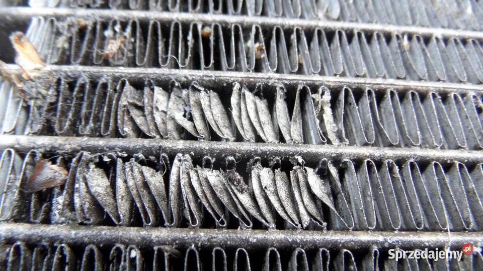 BMW E38 LIFT 01r chłodnica wody 99000654