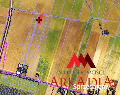Działka 1193m2 Grodztwo Sprzedaż Grunty i działki
