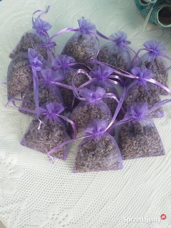 Lawędę syszoną sprzedam Kutno