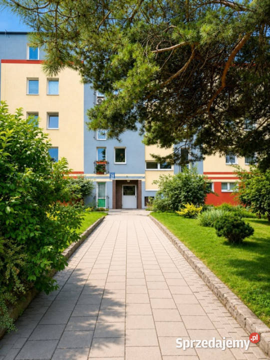 26 m remoncie 700 m plaży Gdańsk Brzeźno